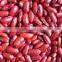 supplying CHINA red kidney beans