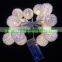 Festival Pendent LED string light
