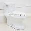CUPC One Piece Toilet