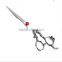 2016 dragon handle hair scissors with sword blade red diamond screw/beauty salon hairdressing shears