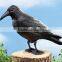 Black Feathered Small Halloween Crows