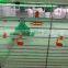 Automatic Poultry Nipple Drinker for Broiler and Breeder