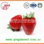 15-25 mm All star High quality Fresh Strawberry