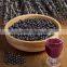GMP Certified Factory Supply Natural Acai Berry Extract Powder