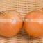 Agriculture - Fresh Vegetables- Fresh Yellow Onion