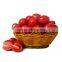 Factory price Tomato Seeds and organic Pink Cherry Tomato Seeds