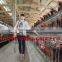 TAIYU Farm Poultry Equipment (Agent and warehouse in foreign countries, visit customers every year)