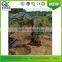 mini 0.8ton simple flexible narrow hydraulic crawler excavator for orchard forest farm