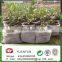 Eco-friendly 100%pp spunbond nonwoven fabric for agriculturel / garden