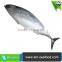 Hot Selling Without Faure Marin Frozen Bonito For Cannery Factory