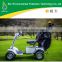 Electric power hot sales 2015 cheapest Discount Single Seat Golf Cart with CE Certificate