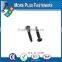 Made in Taiwan high Quality black coating Manufacturer Pan Head Self Tapping Screw