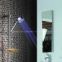 Temperature Sensitive led Shower Head(Without battery and power drivce)