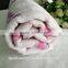 printed cotton cat beach towel