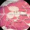 100pc/Box Parasite Prepared Microscope Slides