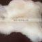 Chinese Sheep Wool White 19.5mic/34-36mm