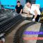 The Great Wall network with cooling food conveyor line