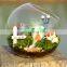 terrarium glass terrarium round clear glass globe ball terrarium Planters Container Glass Flower Vase