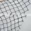 Mist nylon bird net/100%HDPE plastic anti bird netting/HDPE anti bird net