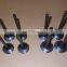 6BT Diesel Engine Exhaust Valve 3901607 3901608 3920868