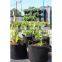 Non woven fabric tomato grow bags, geotextile planting grow bags
