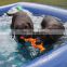 Wholesale High Quality Inflatable Dog Swim Pools Above Ground 10m x 8m PVC Inflatable Swimming Pool For Large Dog