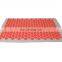 Body pain relief Indian made wholesale Easy to Roll up acupressure foot mat