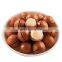 ready to eat new crop current year hot sale products to manila philippines about macadamia