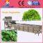 High pressure water flow vegetables lettuce cleaning machine to clean all kinds of vegetable price