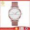 Fashion Jewelry Promotional Gift Stainless Steel 5ATM Water Resistant Sapphire Watch