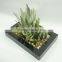 2014 new design artificial cactus plants /wholesale bonsai trees