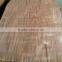 4*7 feet plywood okoume face veneer
