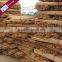 2.2x120cm cleaning wood mop stick handle