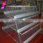 Design A type galvanized chick cage for new farmer