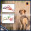 Colorful hunting dog collar in hunting season