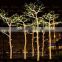 Decorative Large Artificial Led Outdoor Lighted Palm Trees