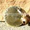 Classic Brass Dog Tag on Chain