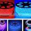 Magic Dream Color Rope Light 110-240V Outdoor Strip Light Waterproof High Brightness