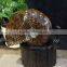 High quality natural ammonite fossils for gifts and decoration