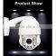 2 Mega pixels IP Speed dome ptz camera with IR Cut filter