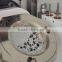 dental processing maquina