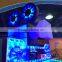 Best quality Film Tour redemption ticket game coin operated arcade game machine