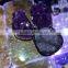 Hot wholesale natural amethyst cluster pandent crystal for ornaments
