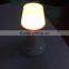 New product hotselling solar table lamp energy saving solar sleeping light