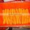 Fresh Carrot crops 2015 very suitable price for exporting