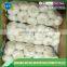 Exported quality fresh chinese garlic