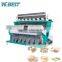 The Most Popular Corn Color Sorting Machine/Grain Color Sorter