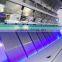 Plastic Color Sorting Machines/Plastic Belt Color Sorter