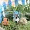 Micro landscape landscape small house , resin windmill small castle