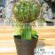 Artificial outdoor and indoor cactus tree and plants for decoration
